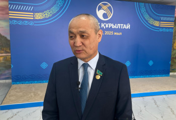 ІІМ интернет алаяқтыққа шектеу қоя алмай отыр – депутат