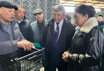 Ящики из переработанного пластика изготавливают в Алматинской области