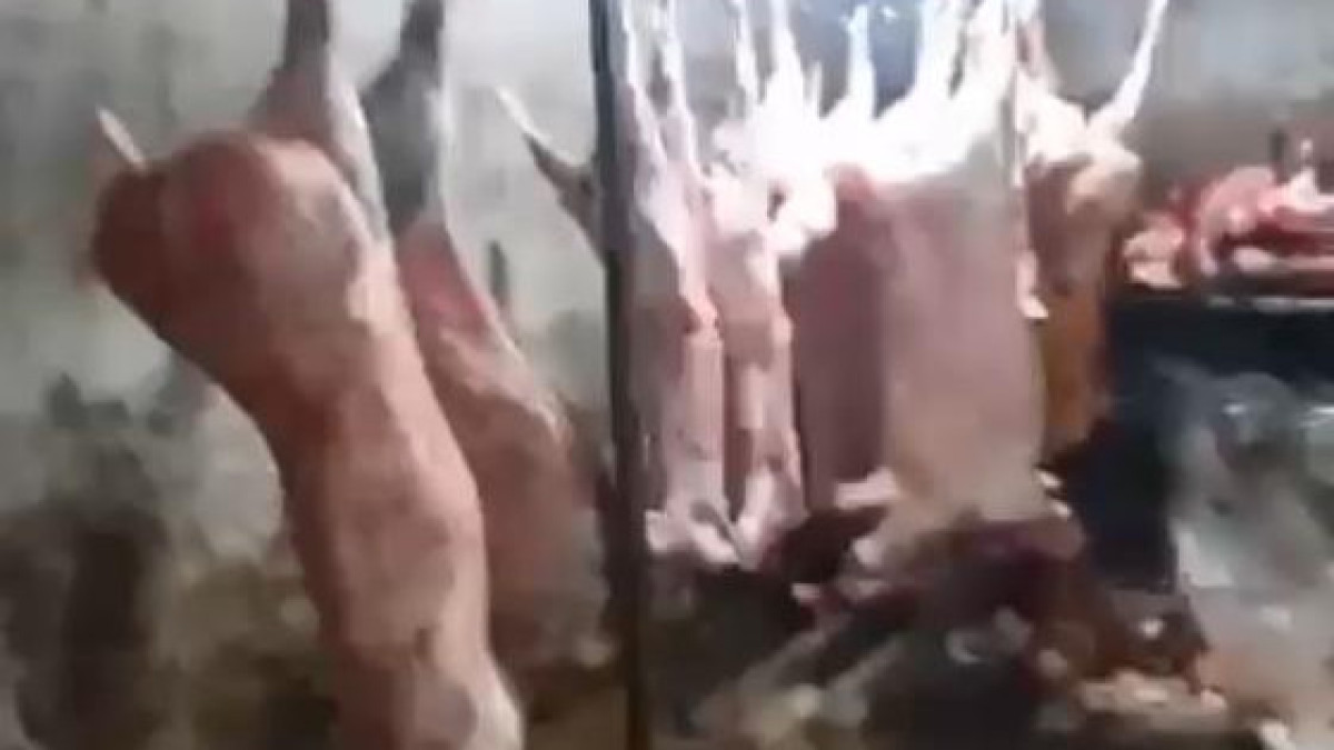  © Комитет ветеринарного контроля и надзора 