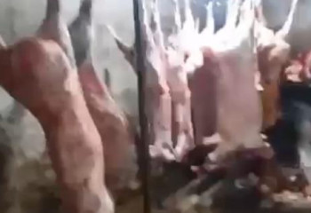 Незаконно работающий мясоперерабатывающий цех выявили в Астане