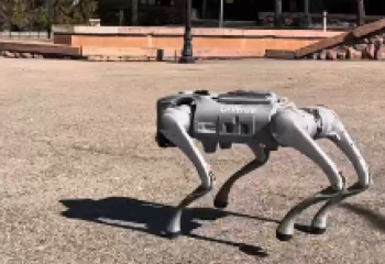 Robot dog walks around Almaty