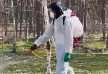 Шымкентте көктемгі дезинсекциялық жұмыстар басталды