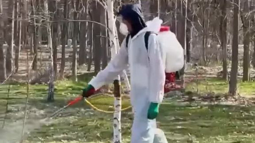  Видеодан кадр 