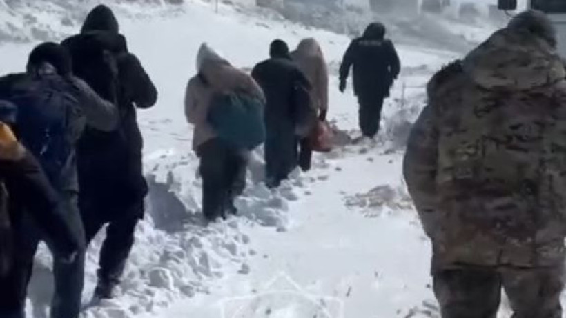  Видеодан кадр 