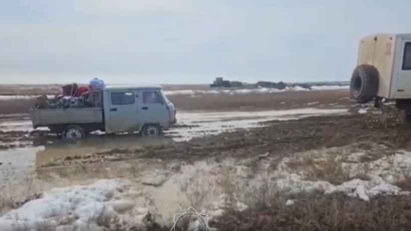  Видеодан кадр 