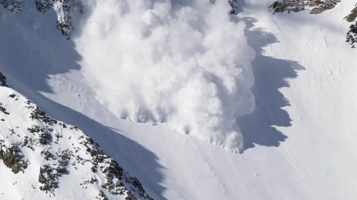  © ДЧС Алматинской области 