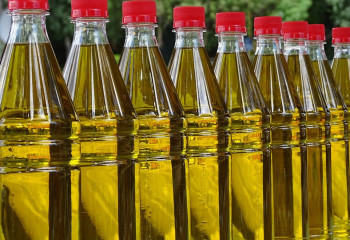 Қазақстанда өсімдік майы өндірісі 26%-ға артты