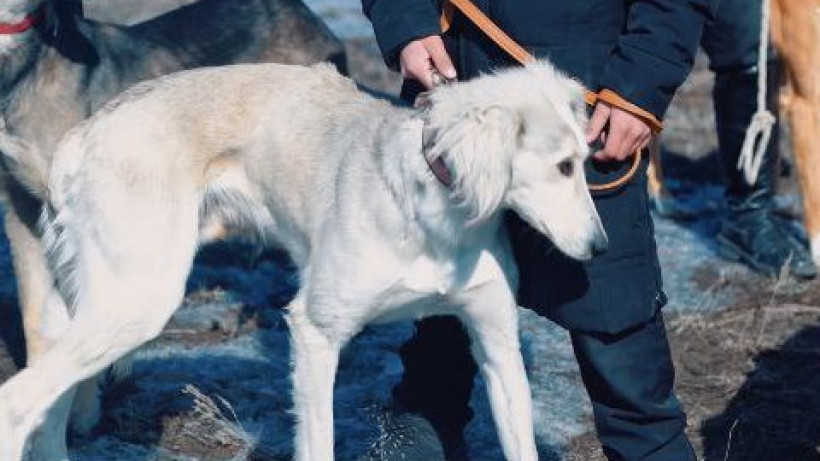  Видеодан кадр 