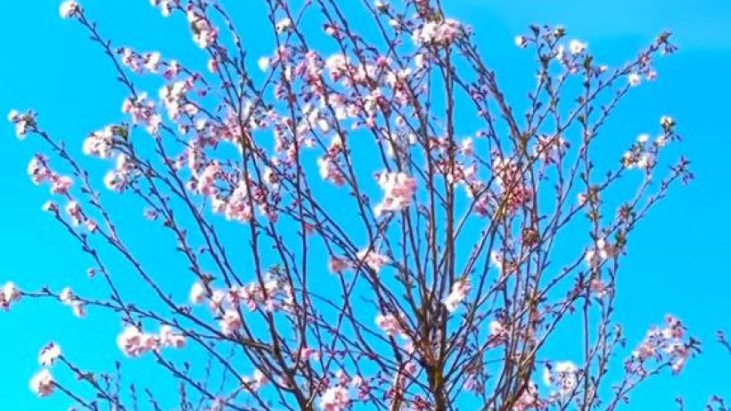  Видеодан кадр 