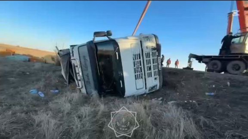  Видеодан кадр 