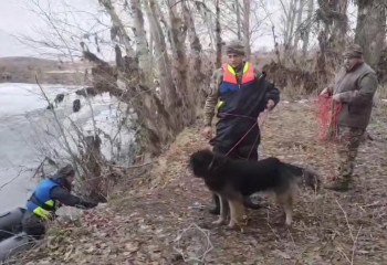 ТЖМ құтқарушылары мұзда қалып қойған итті құтқарды