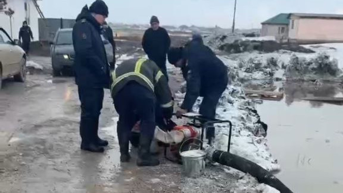  Видеодан кадр 