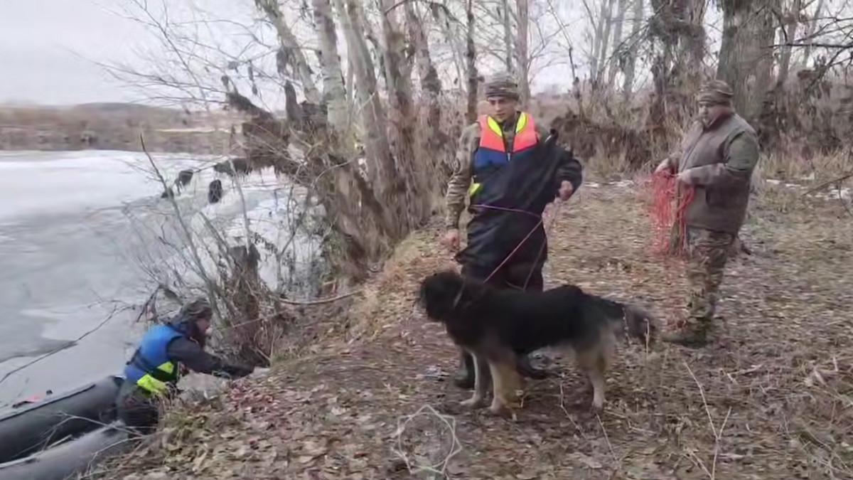  Видеодан кадр 