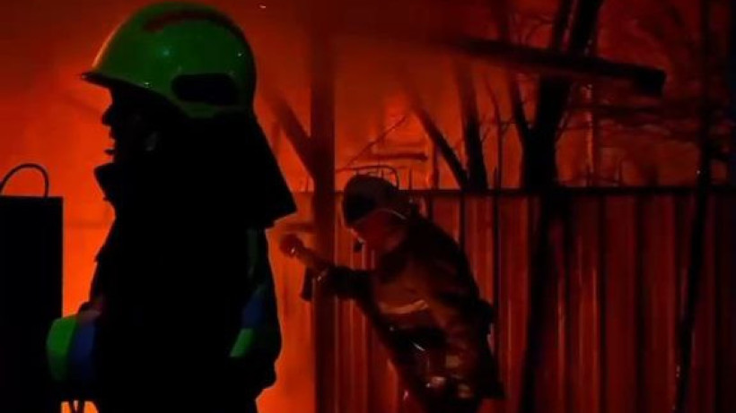  Видеодан кадр 