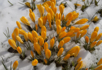 22 наурызға арналған ауа райы болжамы