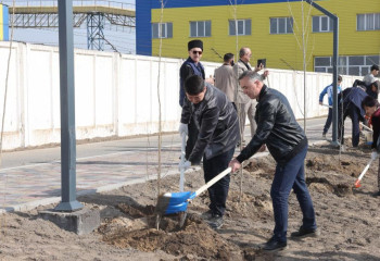 «Аллею Дружбы» торжественно открыли в Конаеве