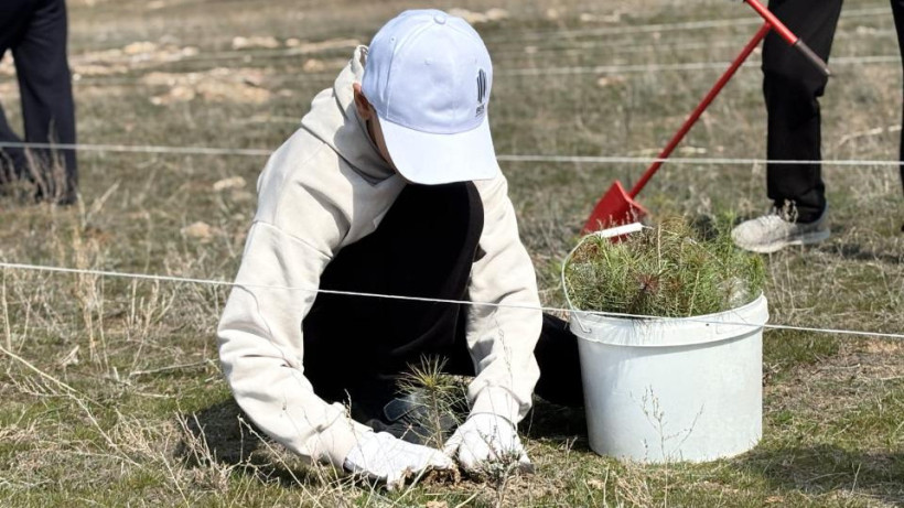  Акимат Алматинской области 