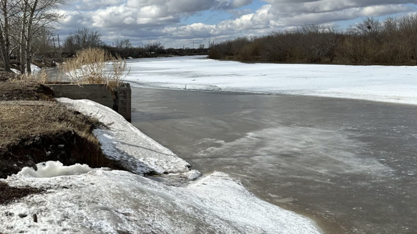  © Пресс-служба акимата Павлодарской области / Валерий БУГАЕВ 