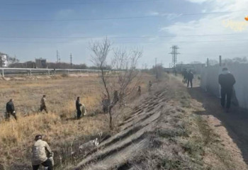 Субботник в рамках Дня очищения провели в Конаеве