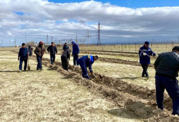 Около 80 тонн мусора вывезено в рамках экоакции «Таза like» в Туркестане