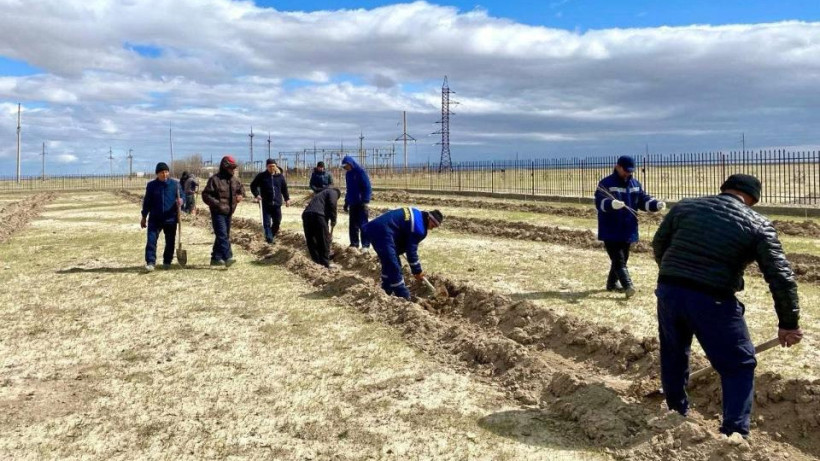  © акимат Туркестанской области 