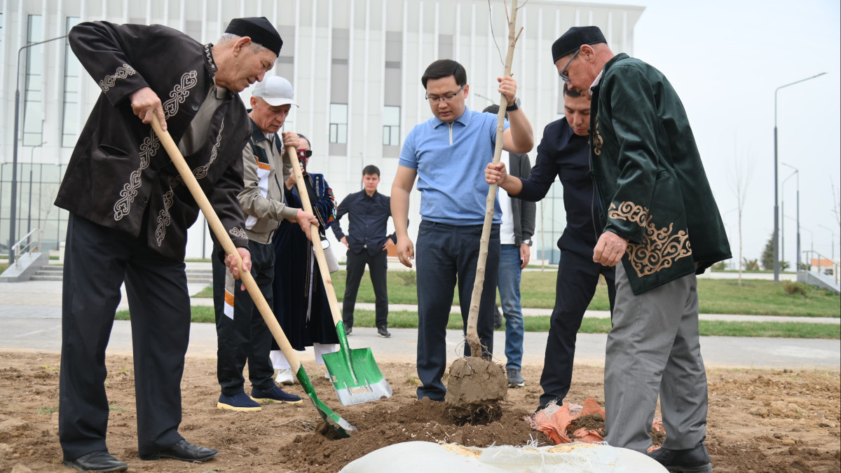  © акимат Шымкента 