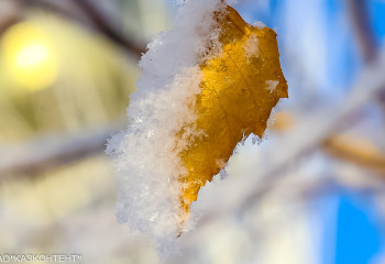 Алдағы күндері ауа райы қандай болады