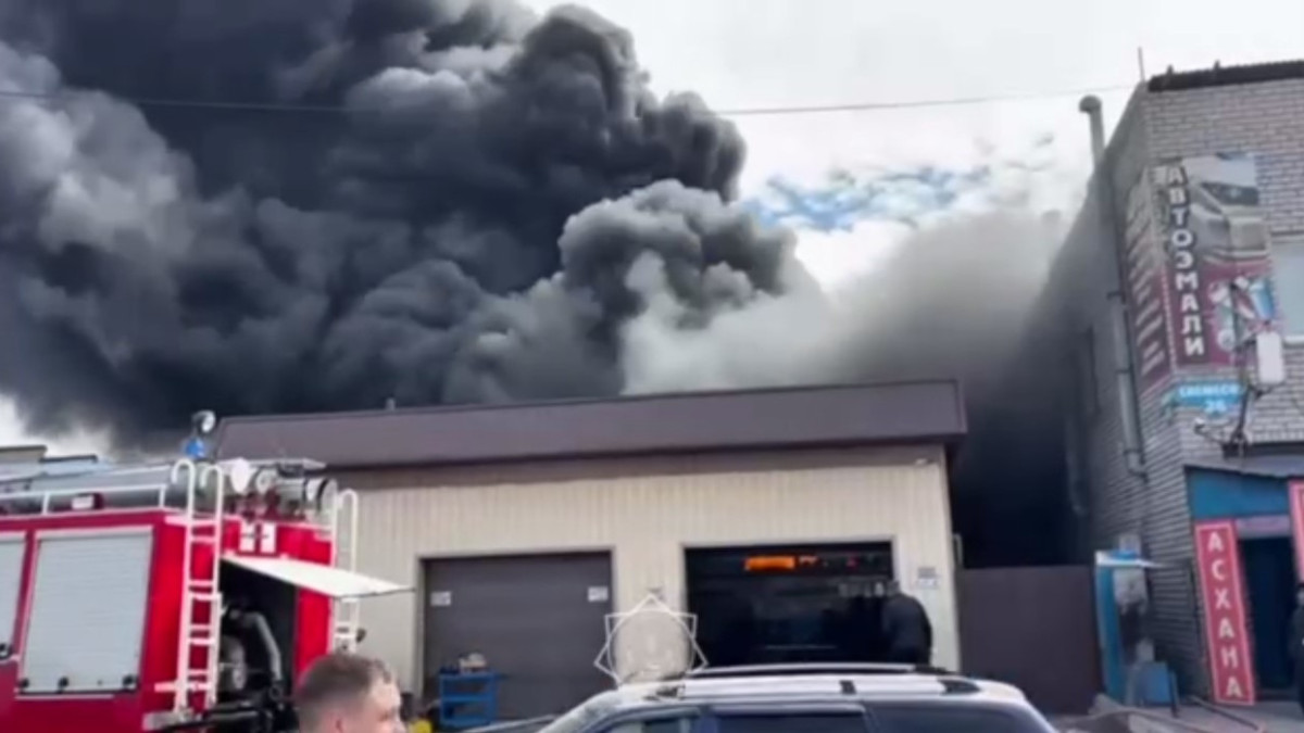  Кадр из видео 