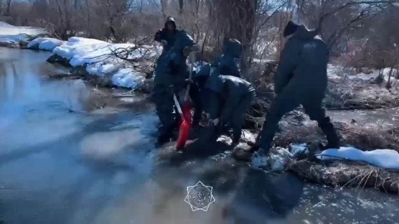  кадр из видео 