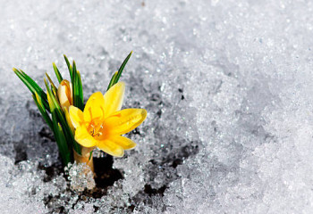 Наурыздың соңғы күндері қар аралас жаңбыр жаууы мүмкін