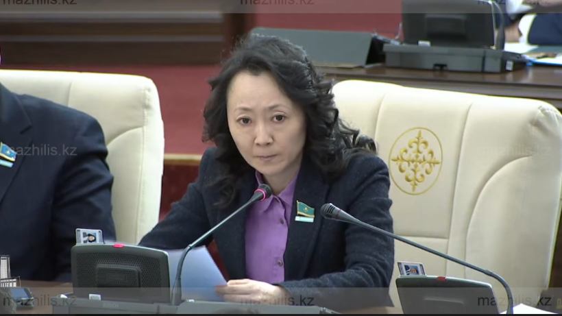  пресс-служба Мажилиса РК 