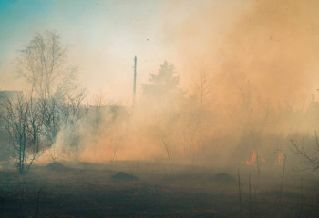 Дабыл жарияланды: Көкшетауда саяжай алабында шөп өртенді