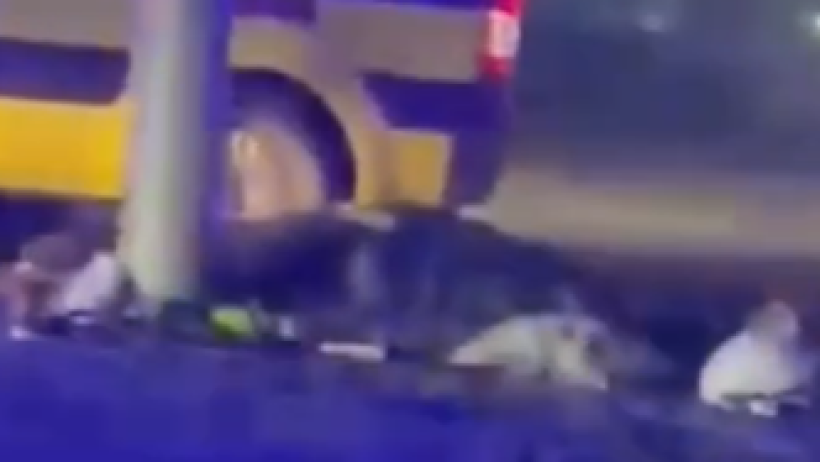  видеодан алынған кадр 