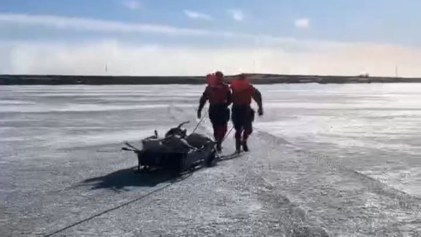  Видеодан кадр 