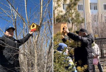 «Құстарды сақта!» акциясы: оқушылар игі іспен айналысты
