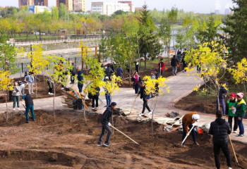 Масштабное озеленение и общественные пространства: как благоустраивают Астану