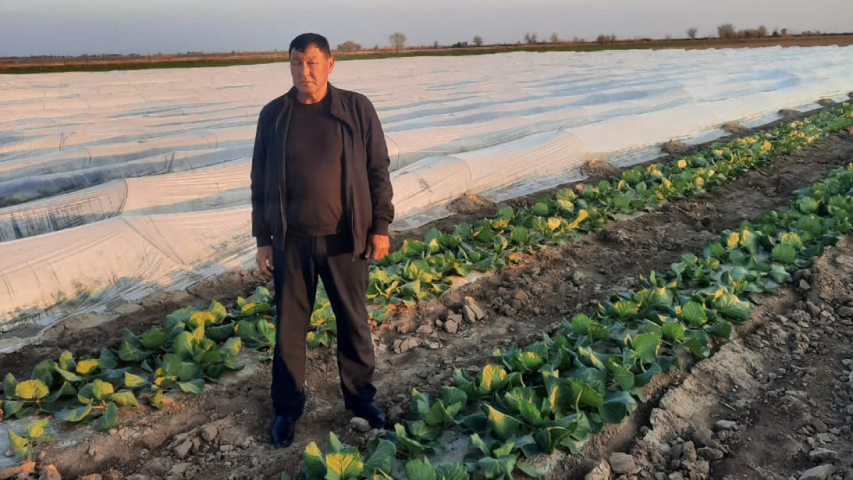  Хамит Тұрсынбековтің жеке мұрағаты 