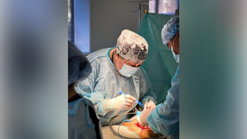  Акимат города Шымкент 