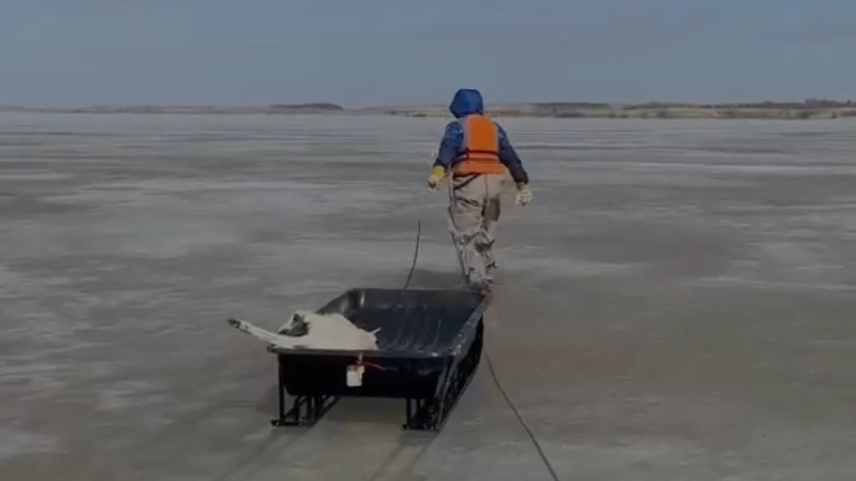  Пресс-служба МЧС РК 