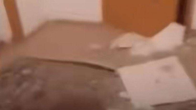  Видеодан алынған кадр 