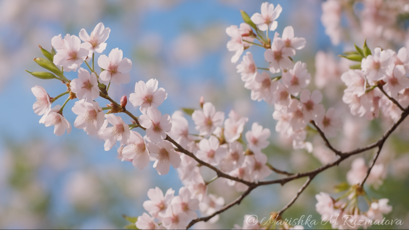  El.kz/Marina Ruzmatova /ChatGPT 