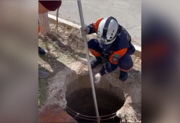 Спасение тонущего щенка в Кызылорде попало на видео