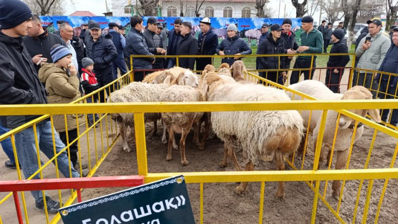  Жетісу облысы әкімдігі 