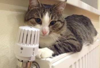 Түркістанда жылу беру маусымы аяқталды