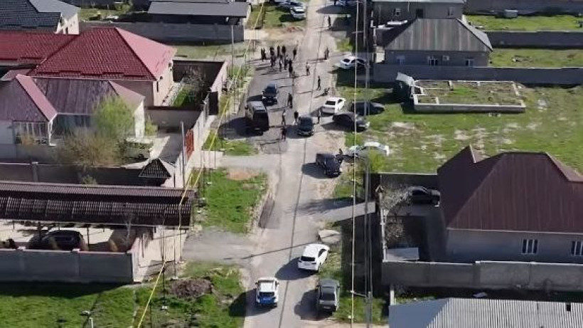  Видеодан кадр 