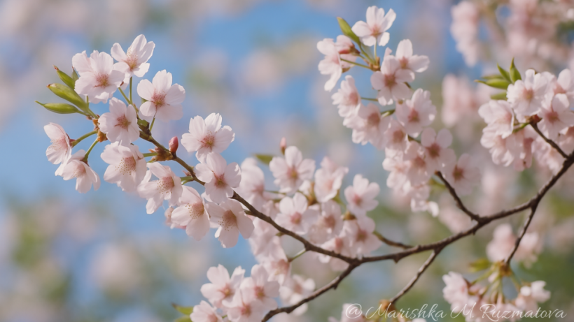  ©El.kz/Марина РУЗМАТОВА/ChatGPT 