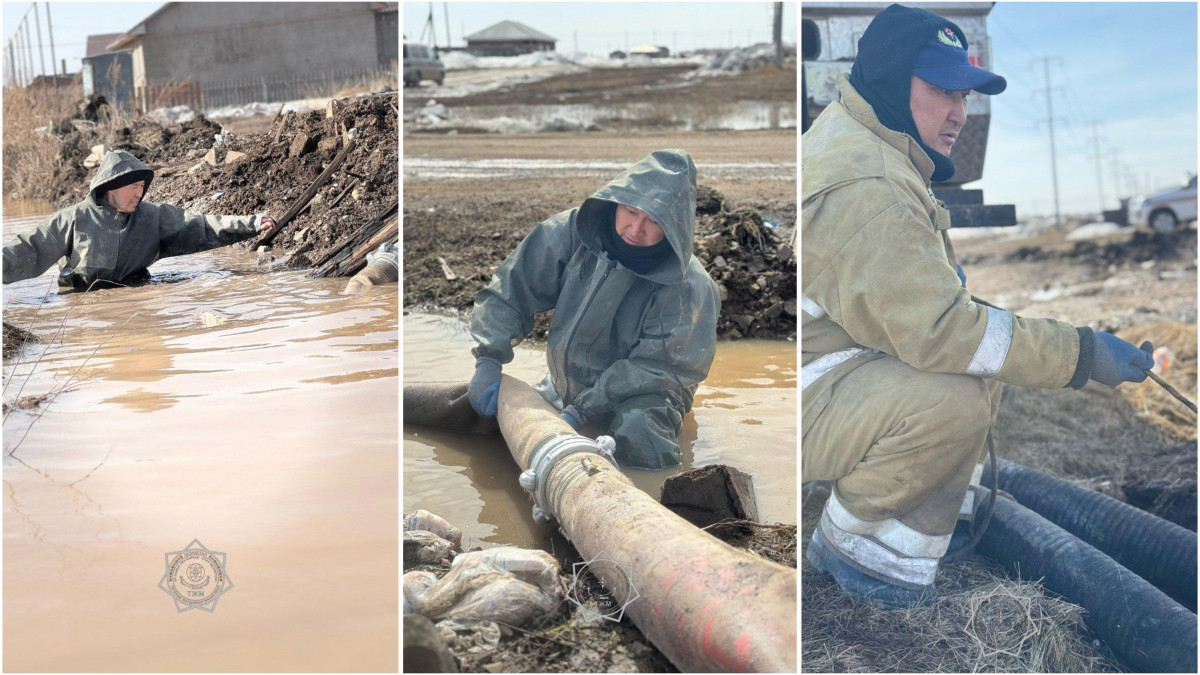  ДЧС Жамбылской области 