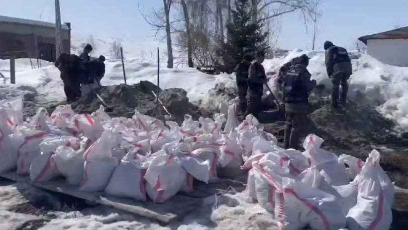  Скриншот видео 