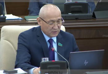 Депутаты взволнованы влиянием иностранных фондов на внутреннюю политику Казахстана