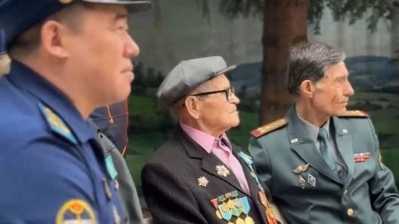  Видеодан кадр 